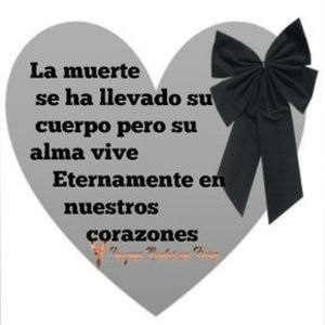 Meet your Posher, Bertha